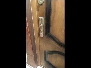 video from telegram
